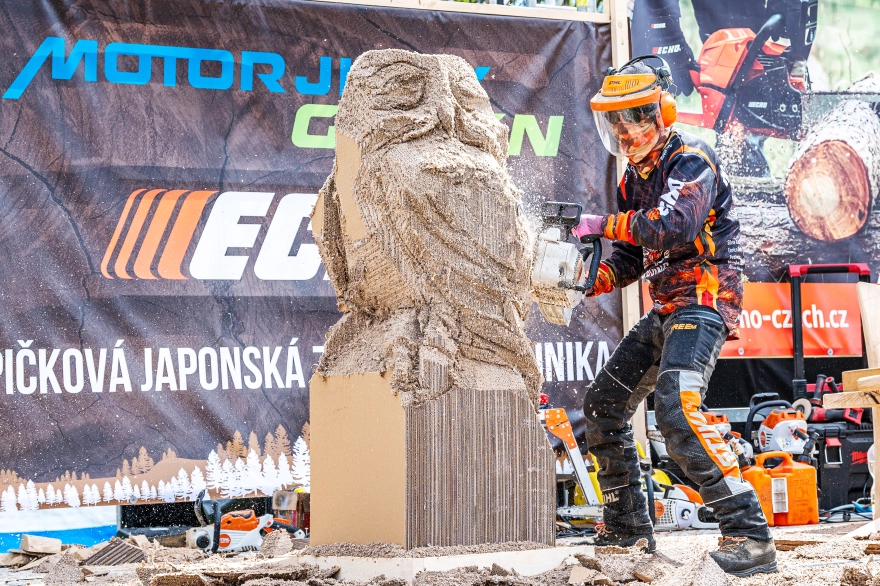 woodcarving-unipap-3575.jpg