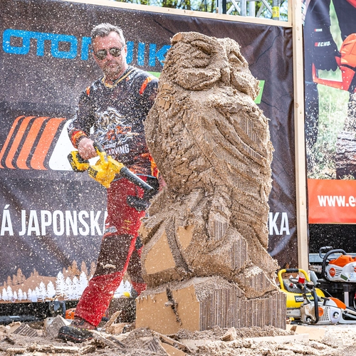 Jak jsme na ECHO Woodcarving CUP 2026 ukázali nový potenciál kartonu